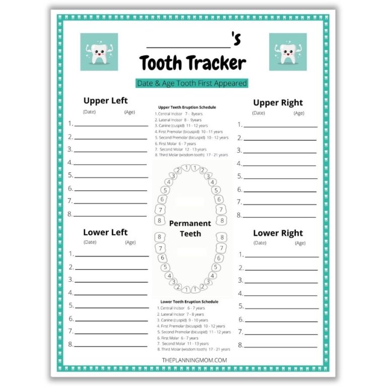 How to Track Your Child's Teeth - The Planning Mom