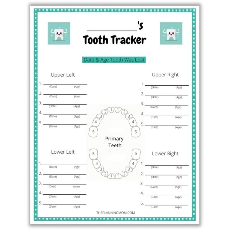 Lost Baby Tooth Chart Printable Free