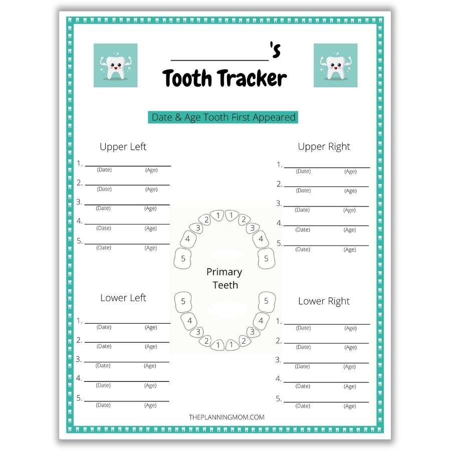 How To Track Your Child s Teeth The Planning Mom